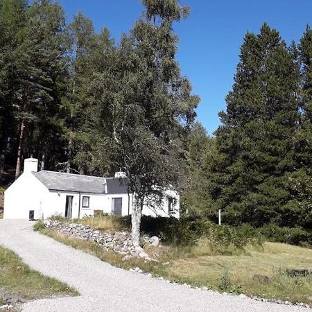 Torgoyle Cottage Inverness Esterno foto